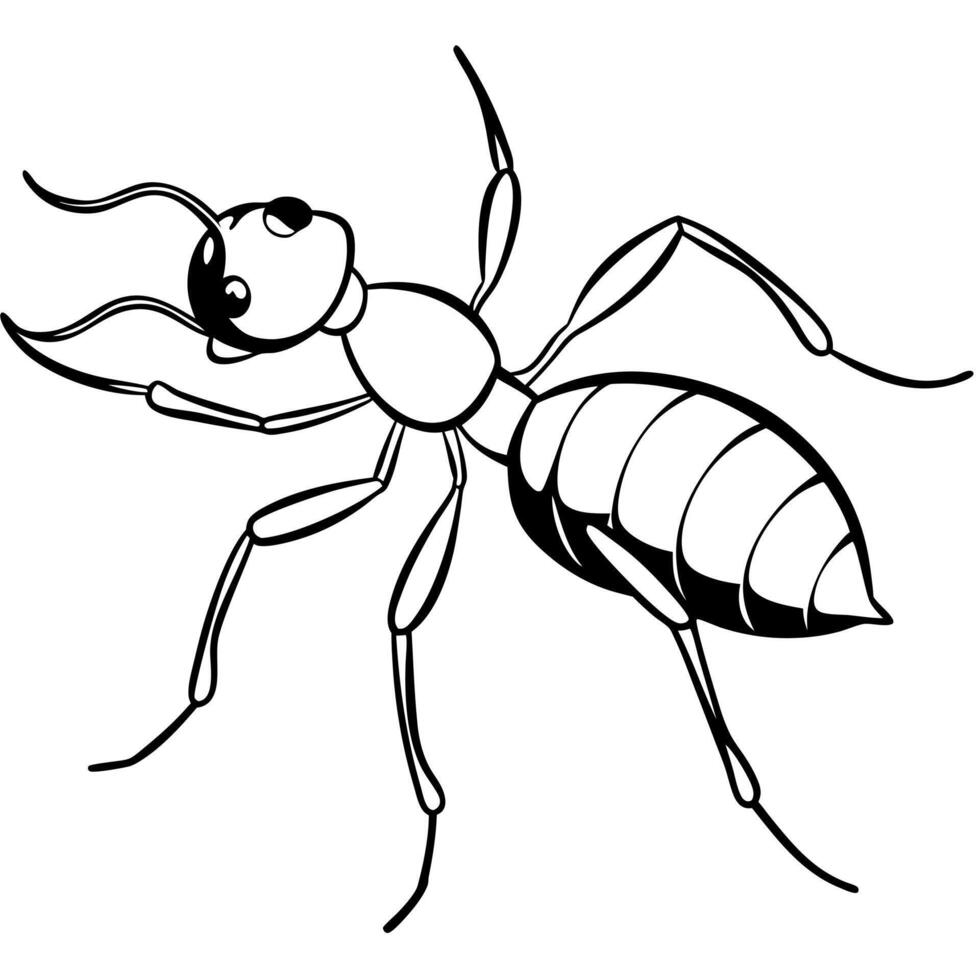 ant and silhouti, illustration line art vector