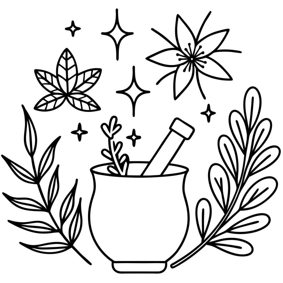 natural pagan wiccan herbal plant and flower remedy preparation, illustration line art vector