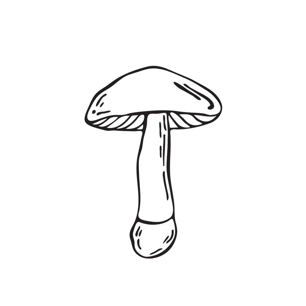 Hand drawn mushroom. Outline black forest element vector