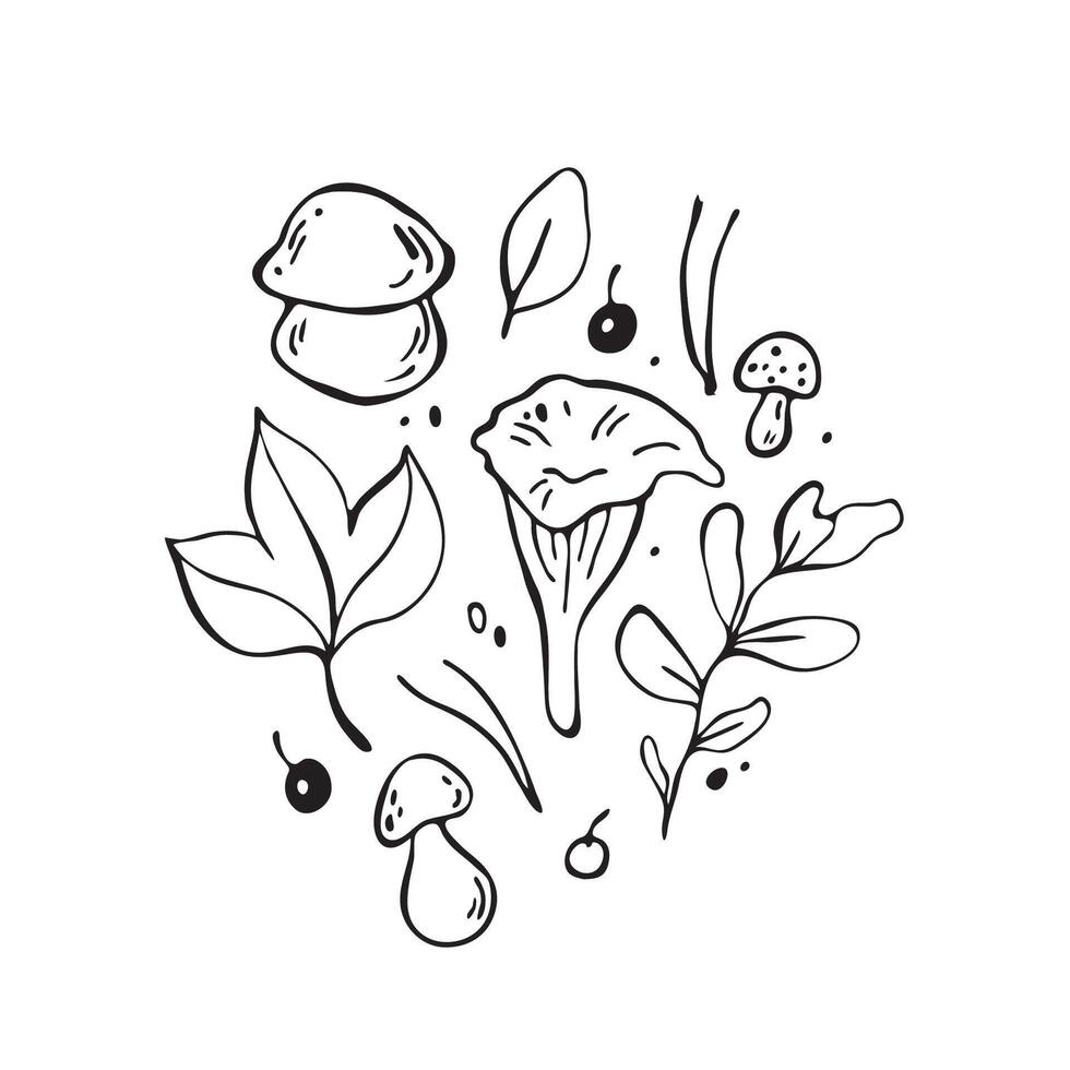 Hand drawn forest illustrations. Outline black mushroom elements vector