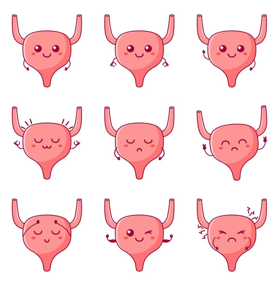 Funny bladder character with hand drawn cartoon kawaii character vector