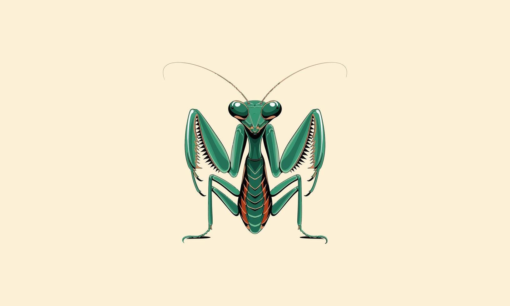 Detailed illustration of a green praying mantis. vector