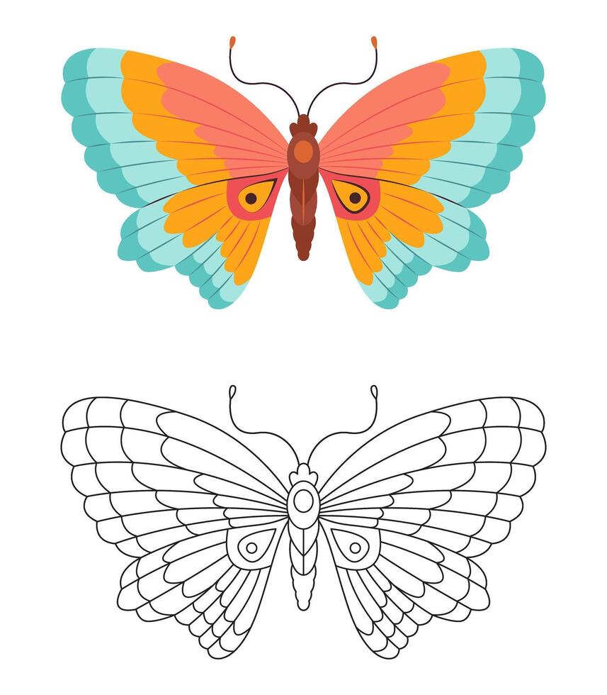 Coloring page Butterfly. Colorful and black white butterfly doodle style. Beautiful insects line art, Hand Drawn. Retro style. Spring summer seasons. Coloring book vector