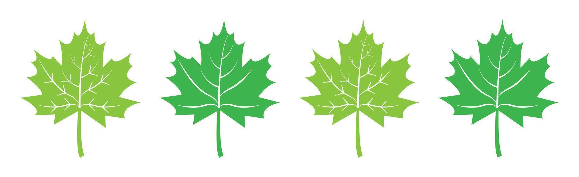 Set of flat maple leaf shape icons isolated on white background illustration. Maple leaf icon set in green color. Forest and wood signs symbol. vector