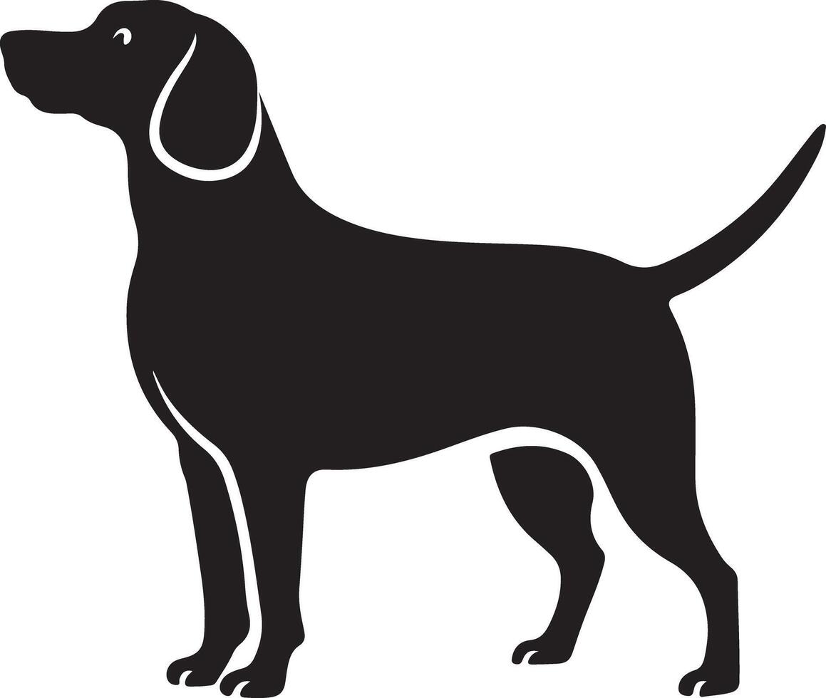 Saint Bernard Dog Running on white background vector