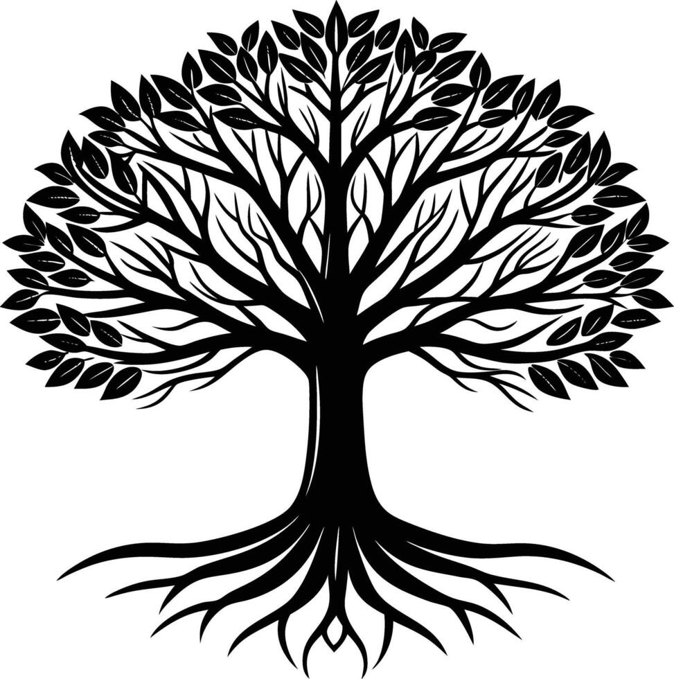 Jacaranda tree with roots vector