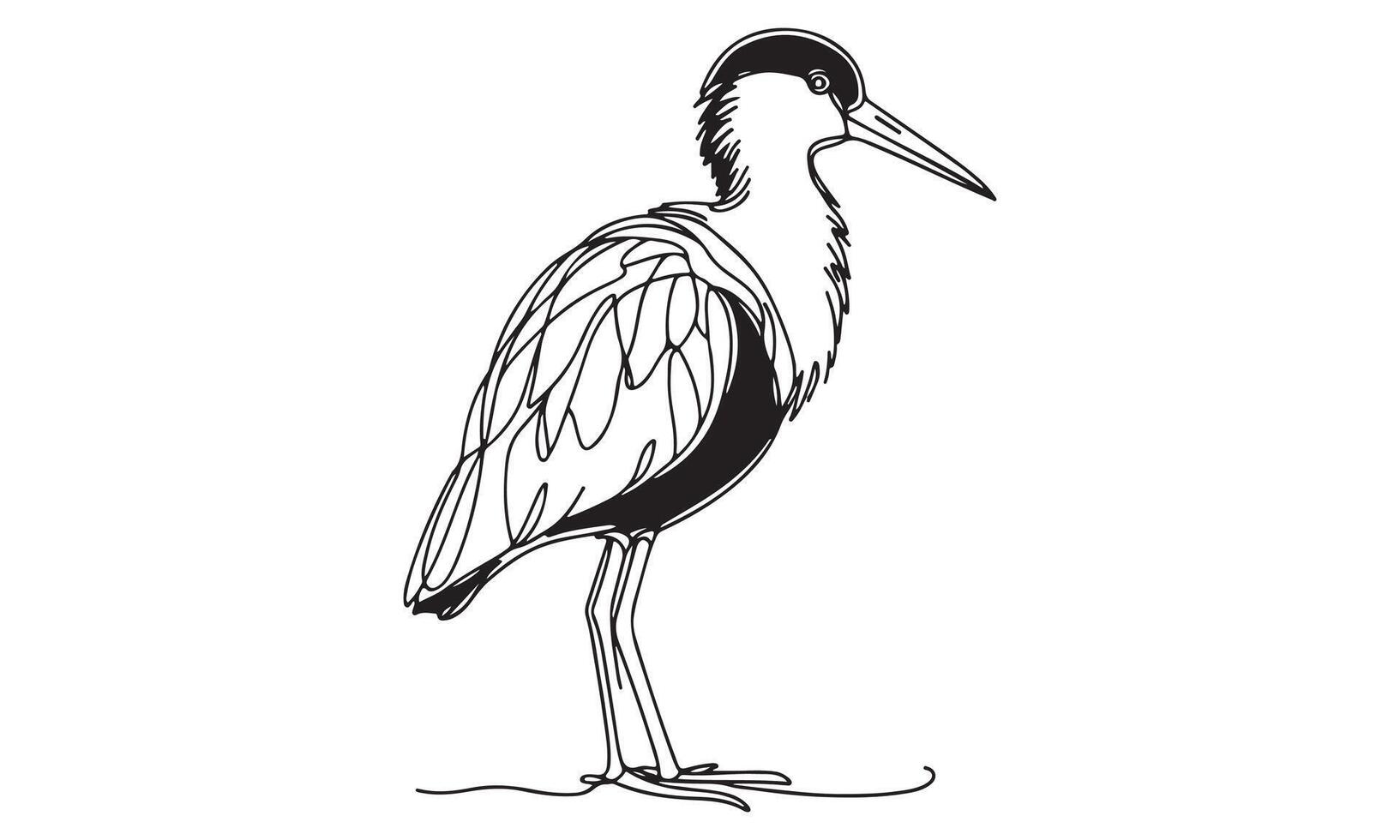 A drawing of a heron standing on a white background vector
