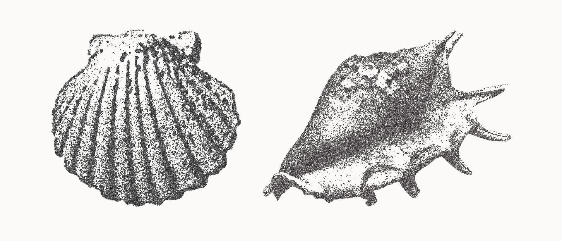 Seashells illustration collection. Trendy stippling photocopy effect vector