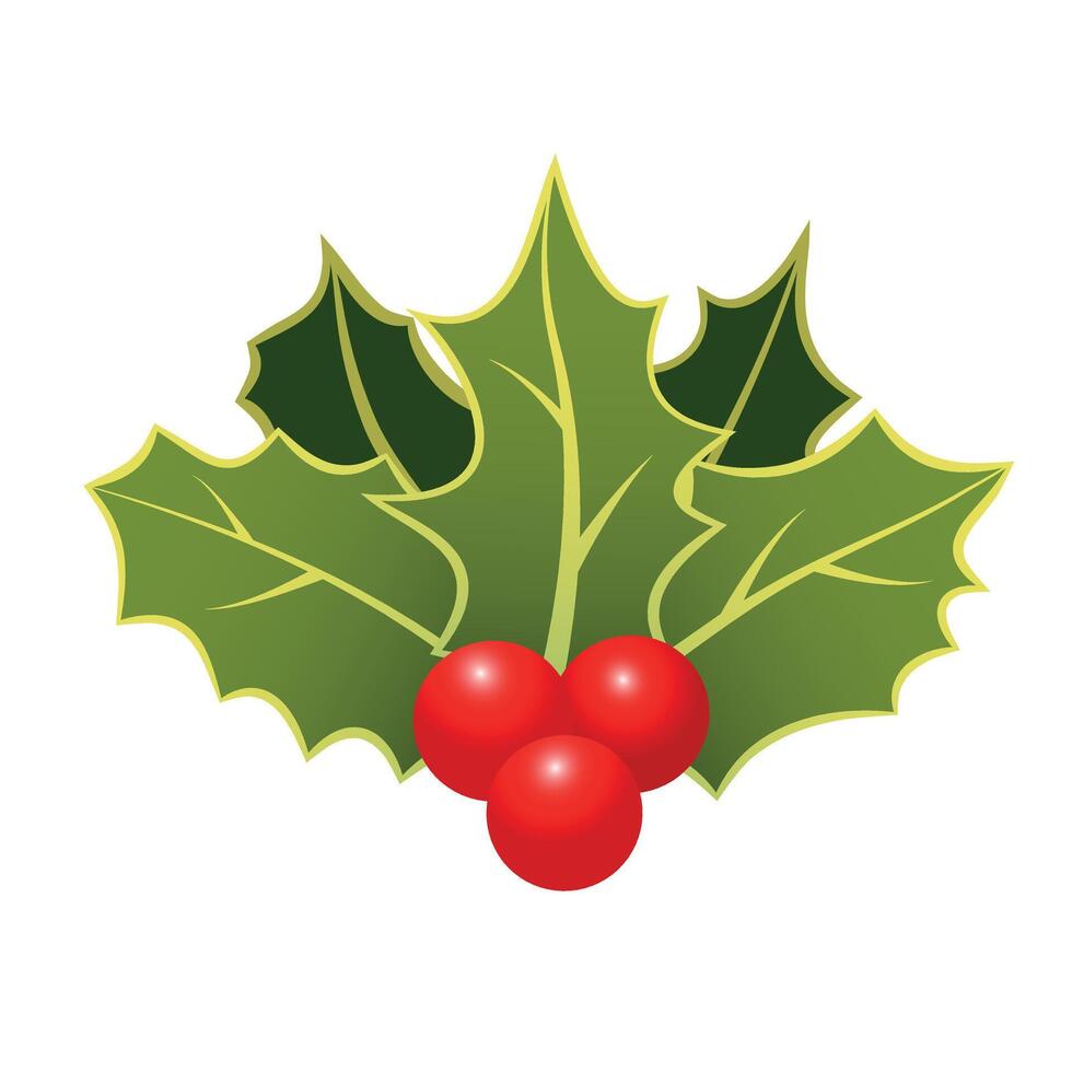 Christmas Holiday Branch with Holly Leaves and Red Berries. Holiday Holly Branch Isolated on White vector