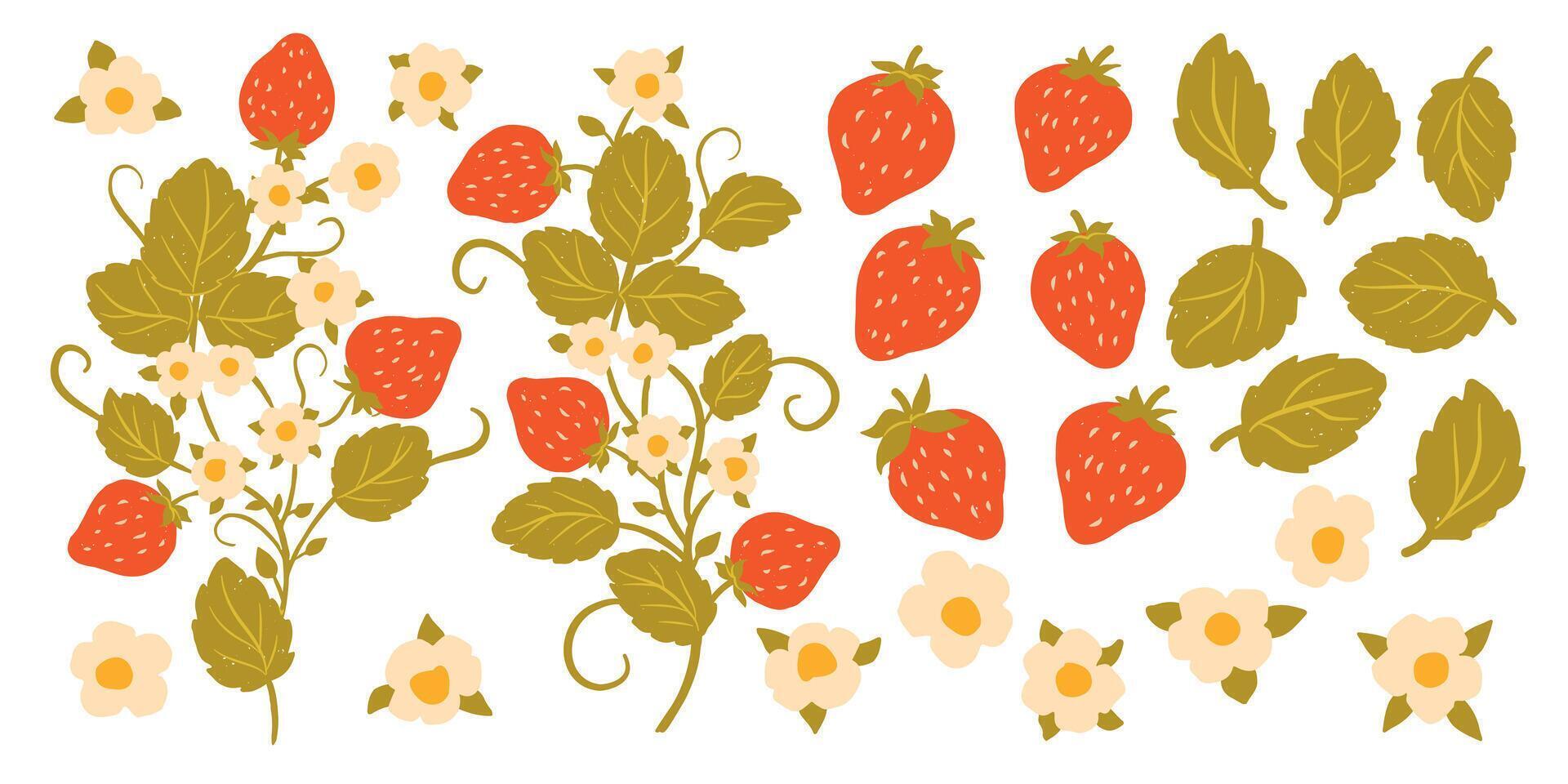 Red Berry Strawberry and Plant Branches Design Elements. Flat Set Flower, Petal, Strawberry Isolated on White Background vector