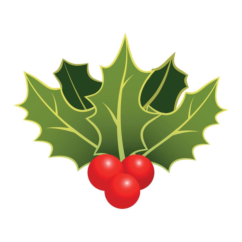 Christmas Holly Bunch with Green Leaves and Red Berries. Holiday Holly Branch Isolated on White vector