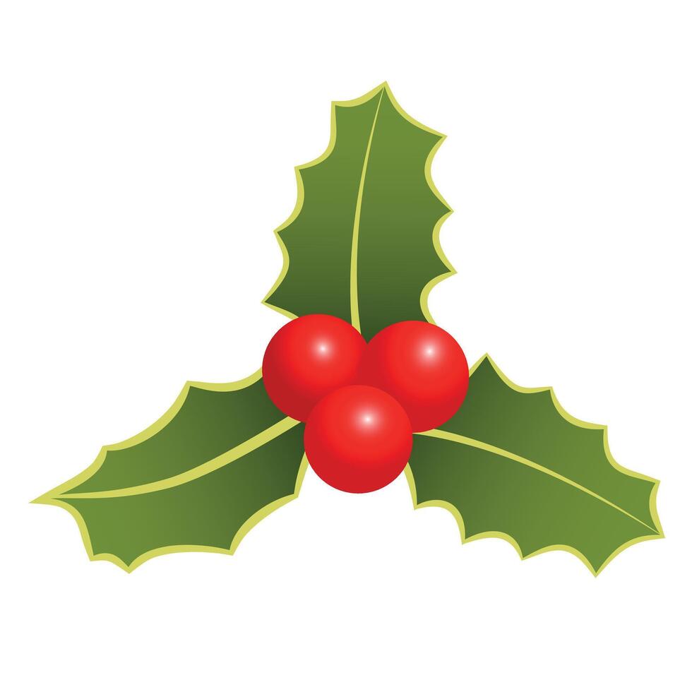 Christmas Holly Bouquet with Green Leaves and Red Berries. Holiday Holly Design Element Isolated on White vector