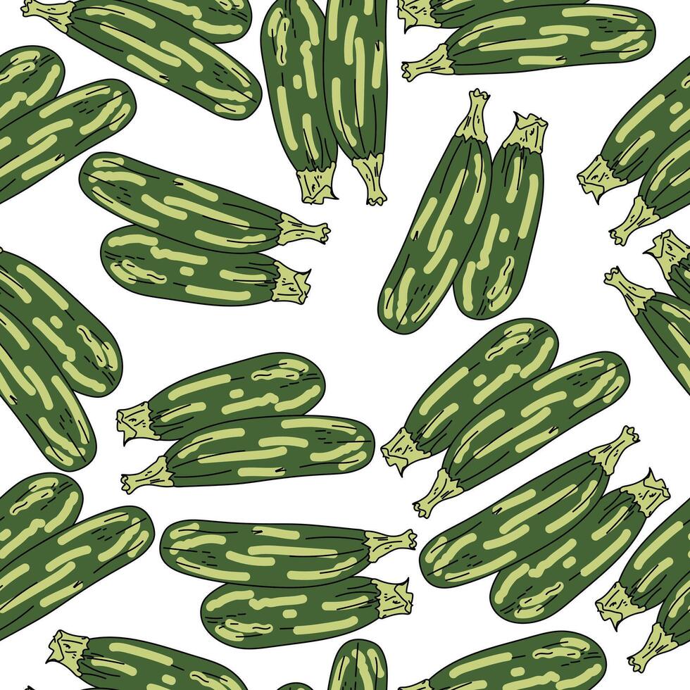 Zucchini seamless pattern, green vegetable on white background vector
