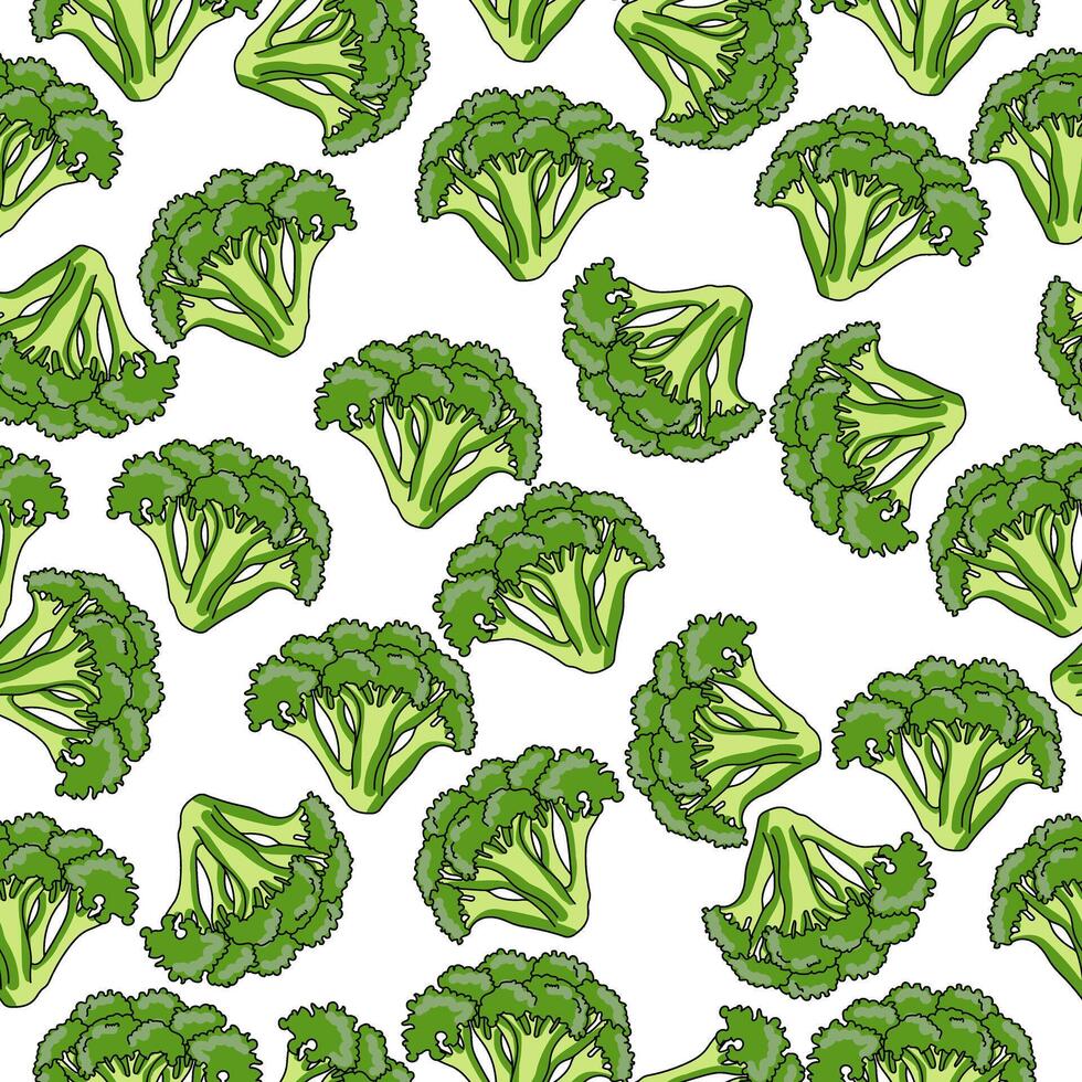 Broccoli seamless pattern, sprigs of green wax on a white background vector