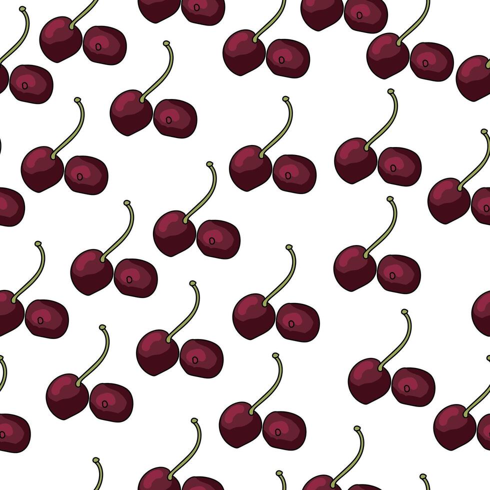 seamless pattern with dark red cherries, juicy fruits on a white background vector