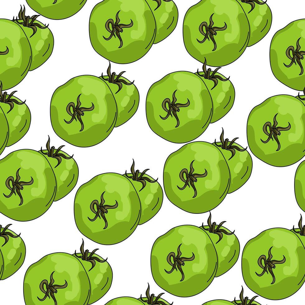 Green tomato seamless pattern, vegetable set on white background vector