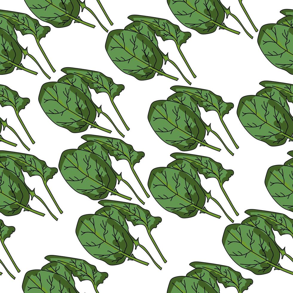 Spinach seamless pattern, green leaves on a white background vector