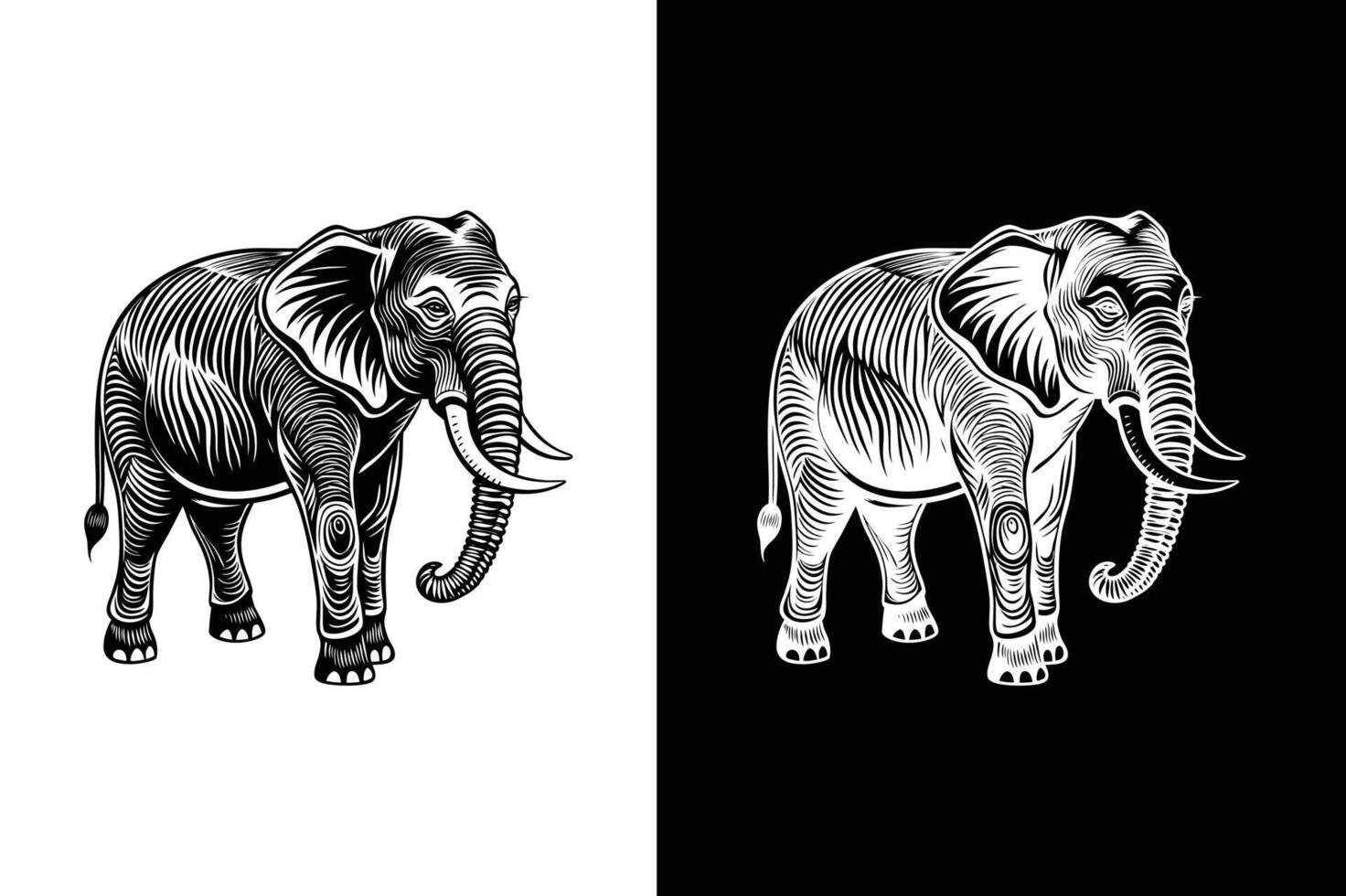 Elephant Silhouette Icons. Bold Solid Designs on White and Black Backgrounds vector