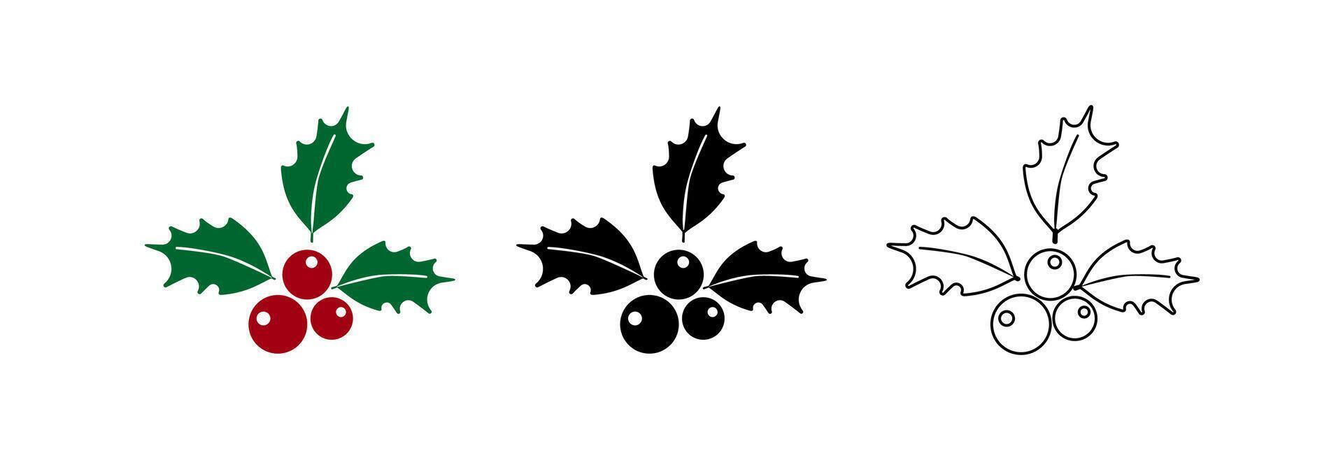 Holly berry icon. vector