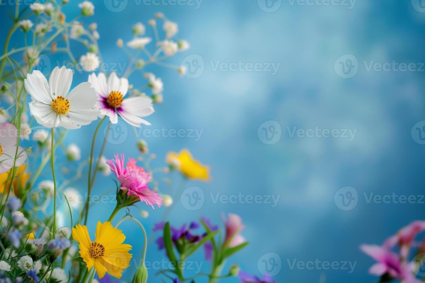 A vibrant spring bloom of wildflowers by a serene blue backdrop celebrates nature's beauty photo