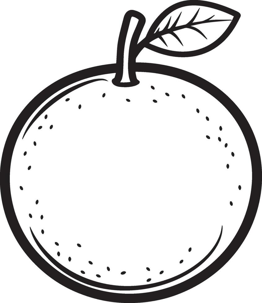 orange fruit clean simple linear outline black vector