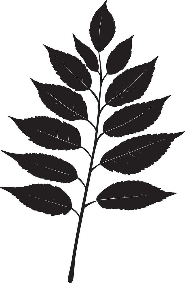 rowan tree leaf clean simple silhouette black vector