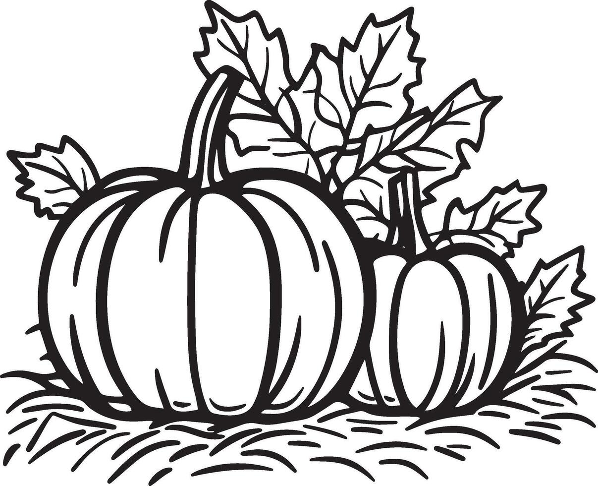 Pumpkins on hay bale with autumn leaves clean simple icon outline black vector