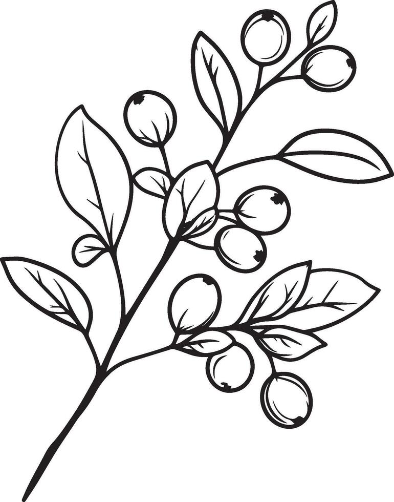 Branch with cranberries clean simple linear outline black vector