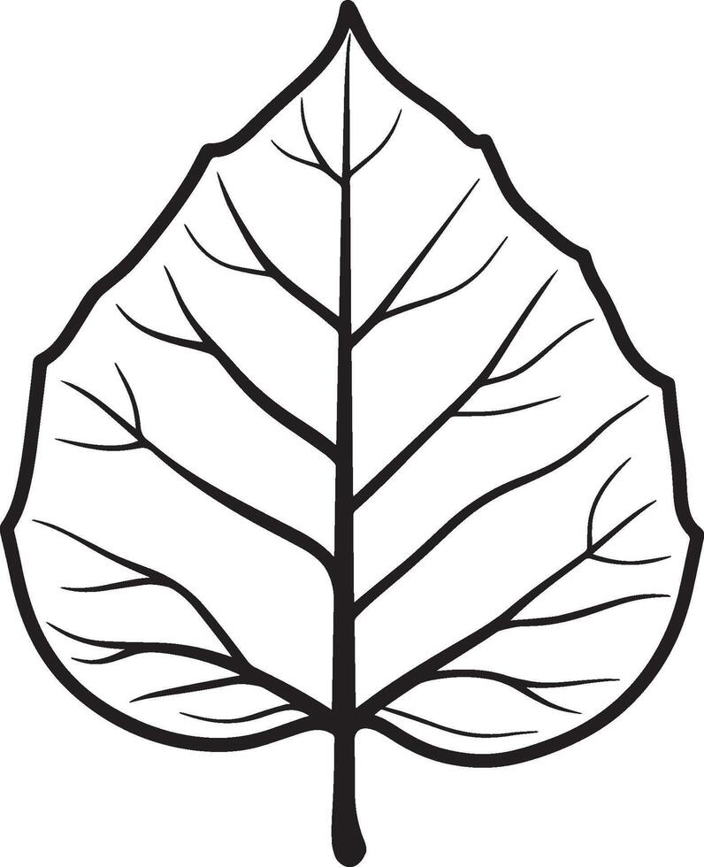 poplar leaf clean simple icon outline black vector
