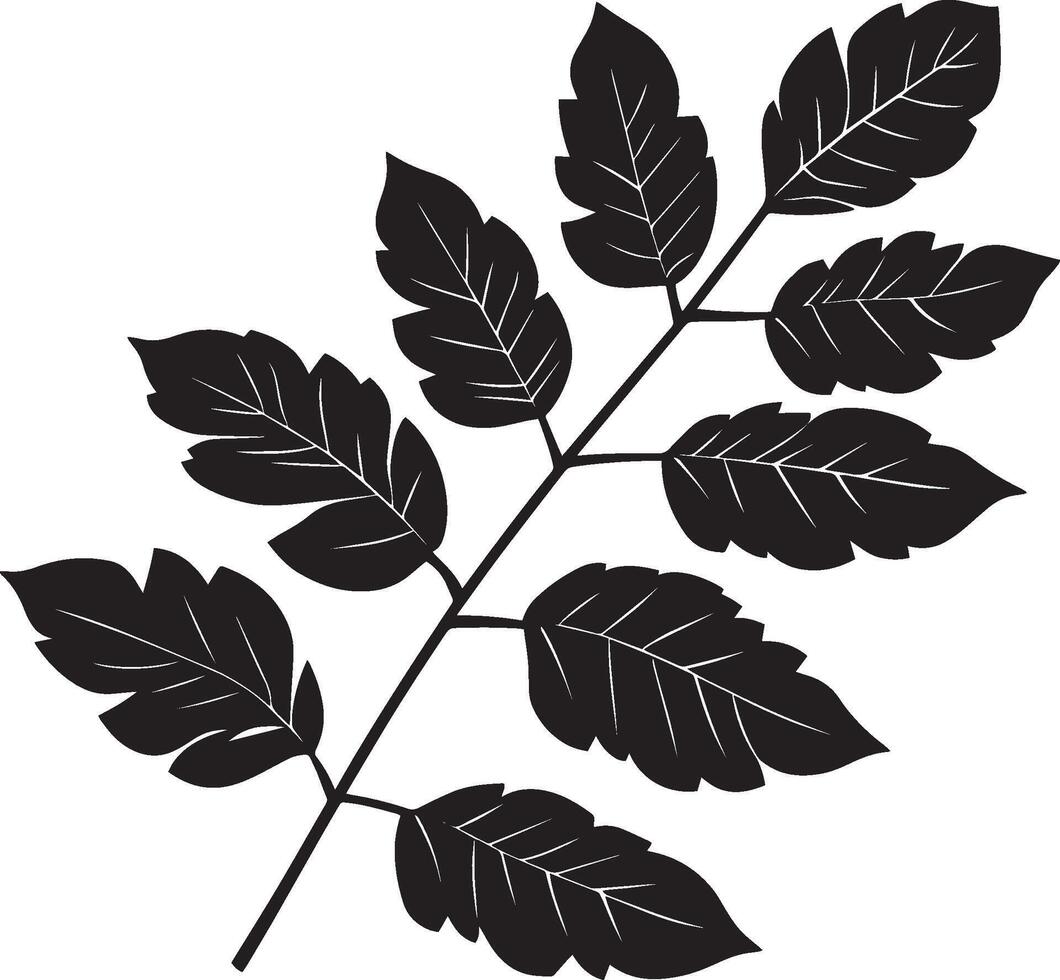 rowan tree leaf clean simple silhouette black vector