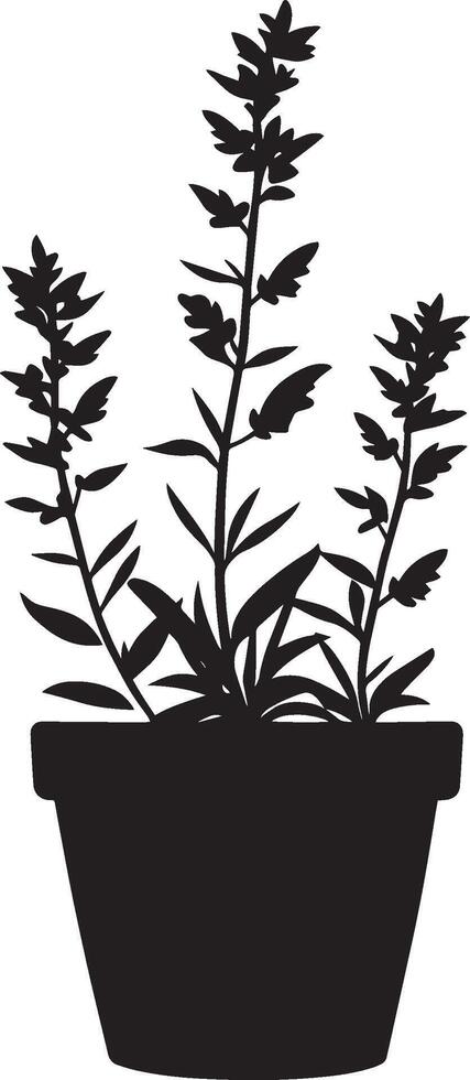 Heather flower in pot clean simple icon silhouette black vector