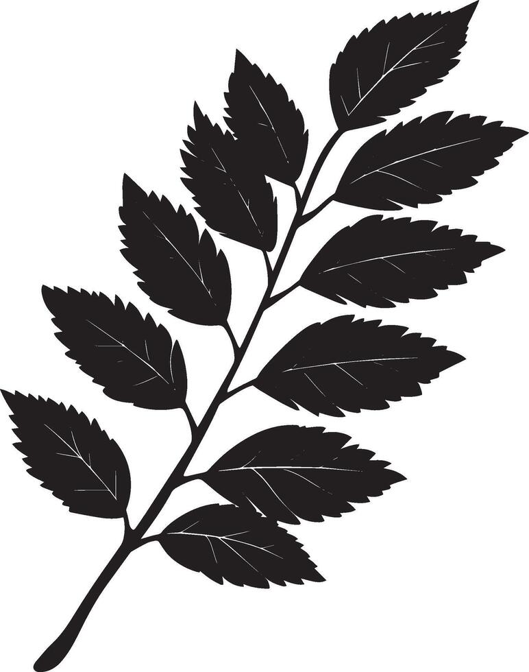 rowan tree leaf clean simple silhouette black vector