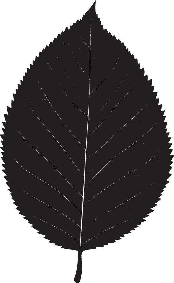 ash leaf clean simple silhouette black vector
