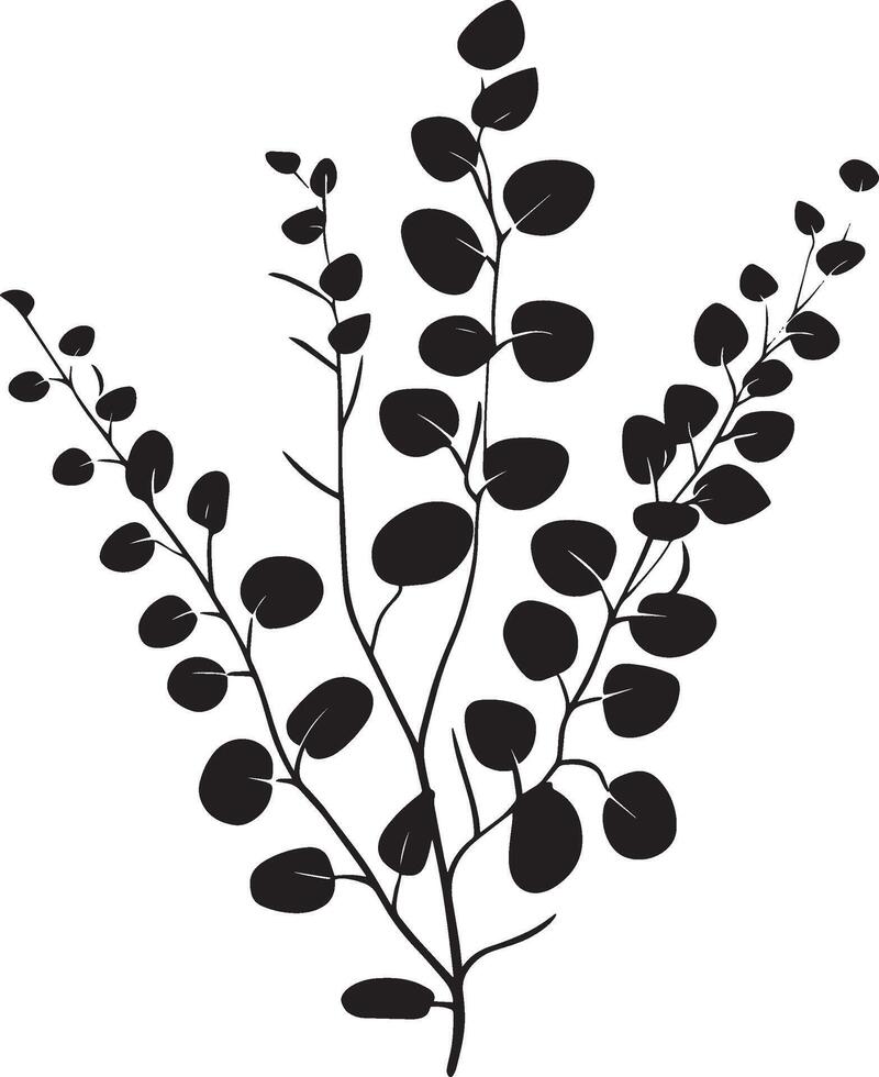 eucalyptus leaves with branches vector