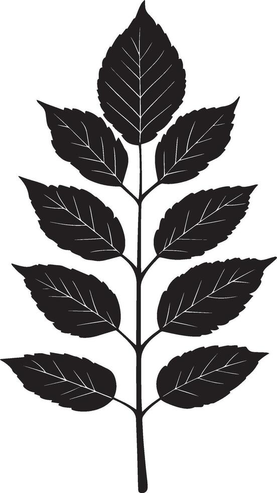 rowan tree leaf clean simple icon outline black vector