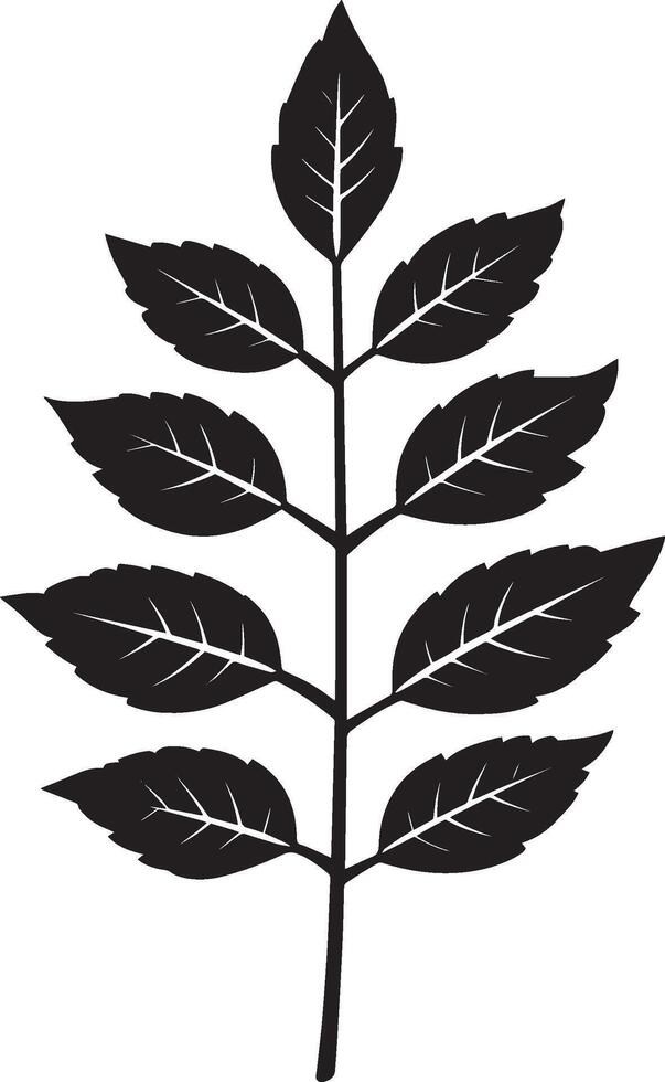 rowan tree leaf clean simple icon outline black vector