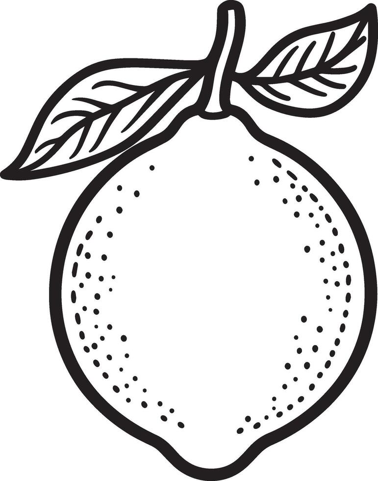 lemon clean simple linear outline black vector
