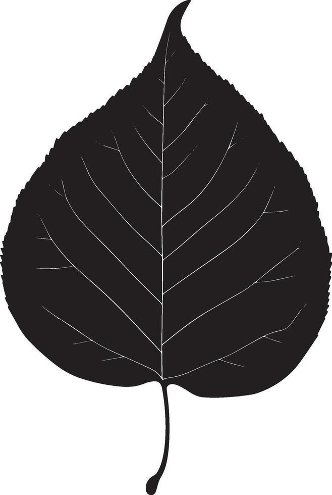 poplar leaf clean simple silhouette black vector
