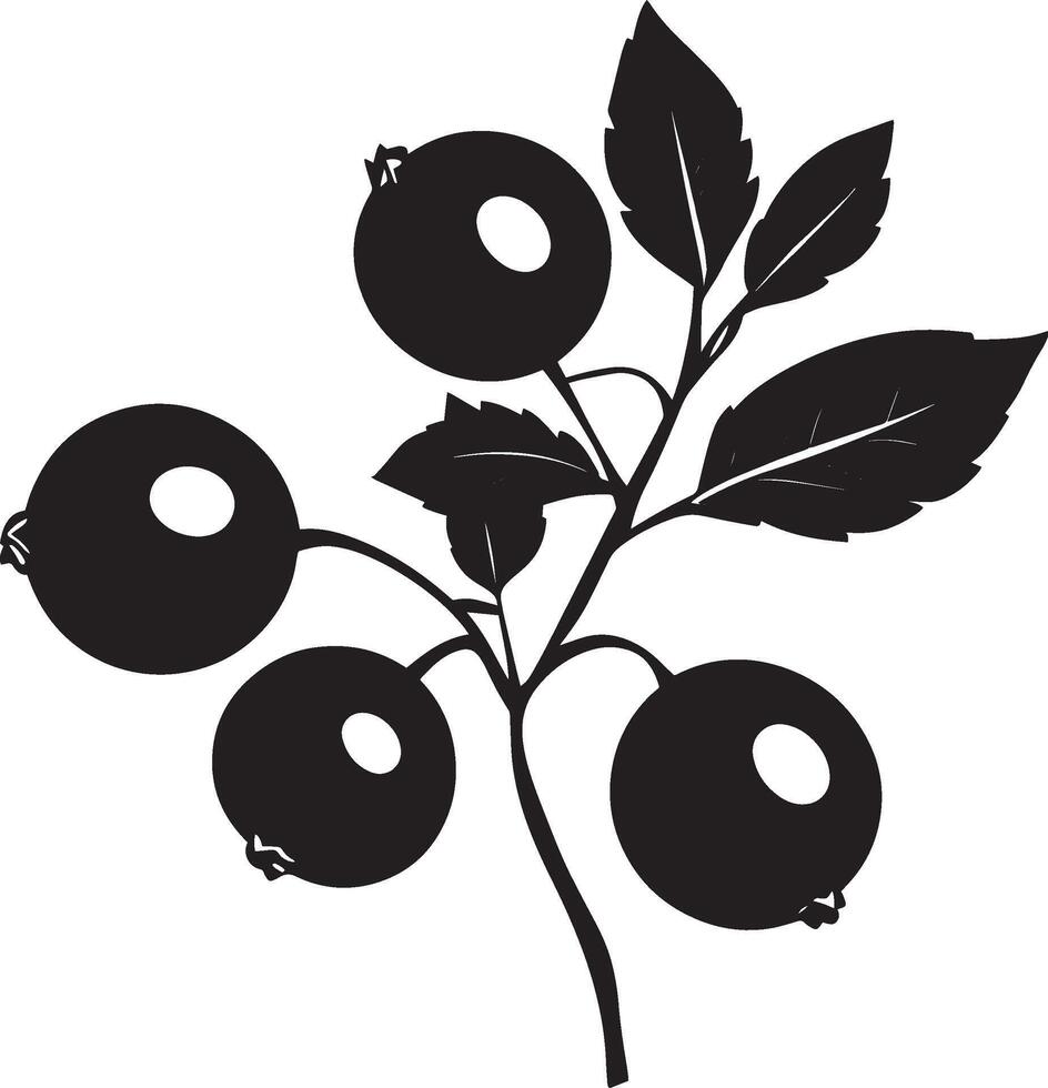 cranberries clean simple silhouette black vector
