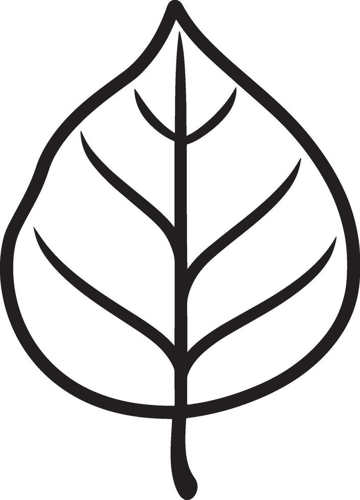 poplar leaf clean simple icon outline black vector