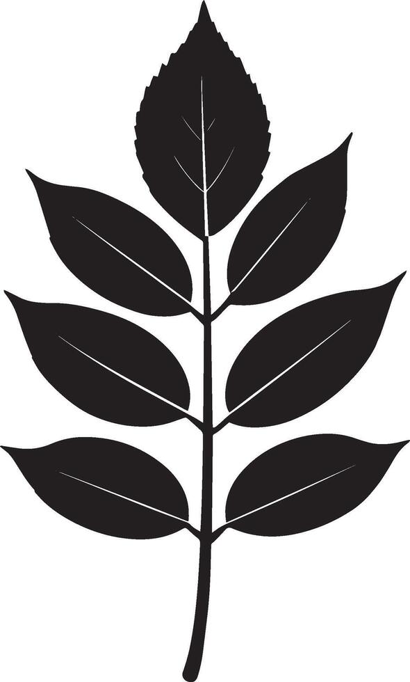 ash leaf clean simple icon silhouette black vector
