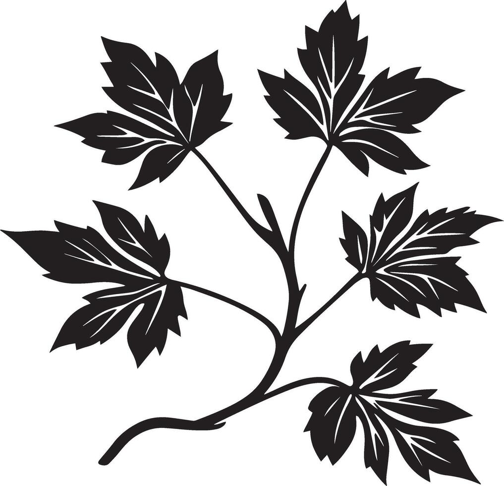 Maple branch with leaves clean simple icon outline black vector