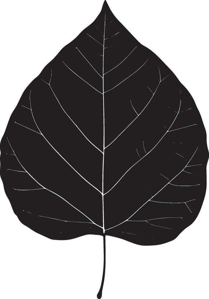 poplar leaf clean simple silhouette black vector