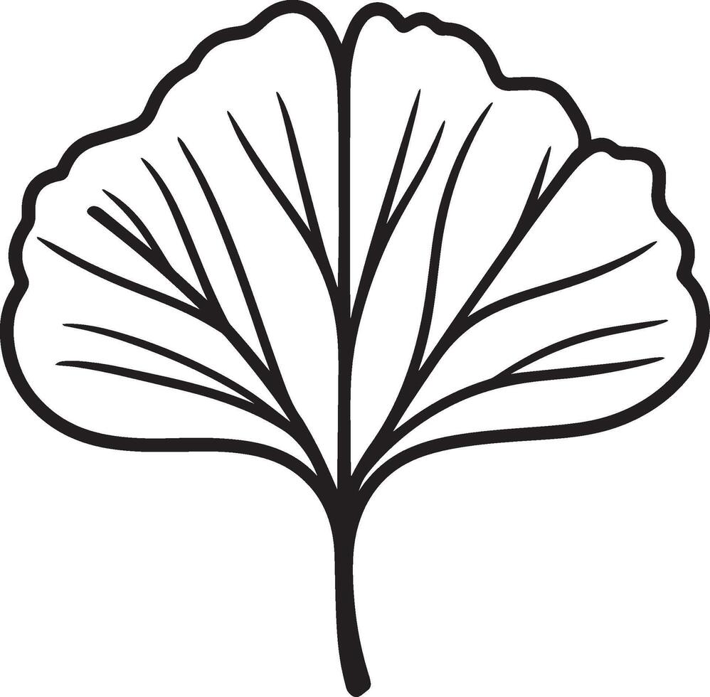Ginko leaf clean simple icon outline black vector