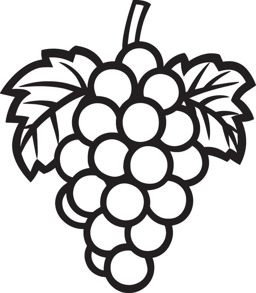 Grape fruit clean simple icon outline black vector