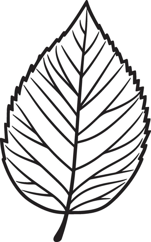 ash leaf clean simple icon outline black vector