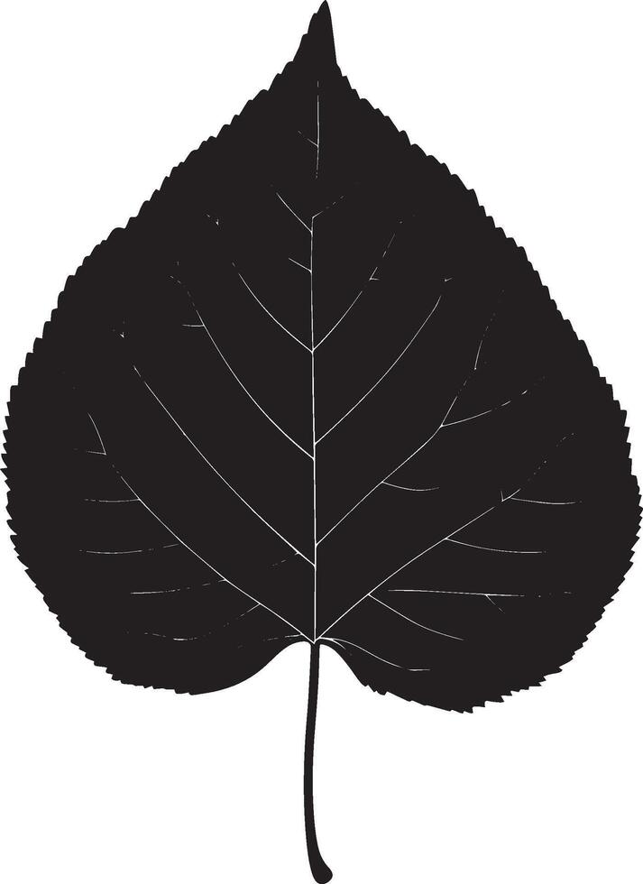 poplar leaf clean simple silhouette black vector