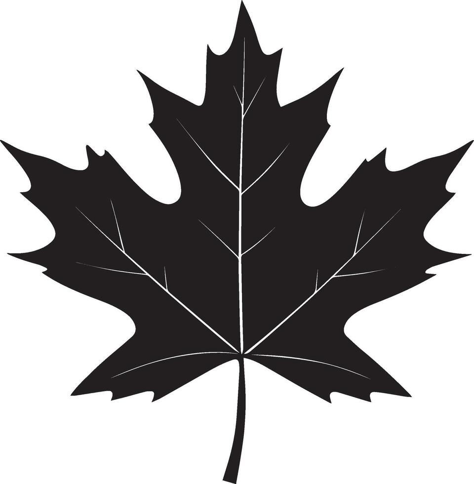 a black and white maple leaf vector