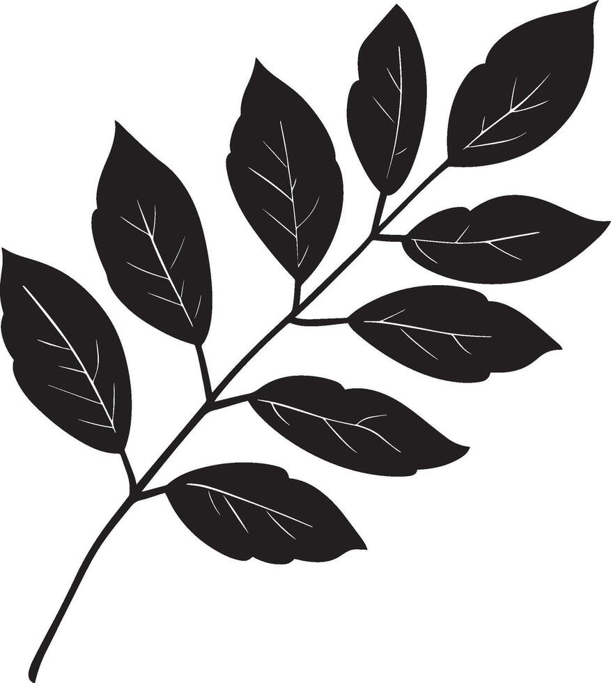 ash leaf clean simple icon outline black vector