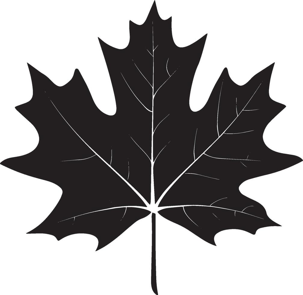 a black maple leaf vector